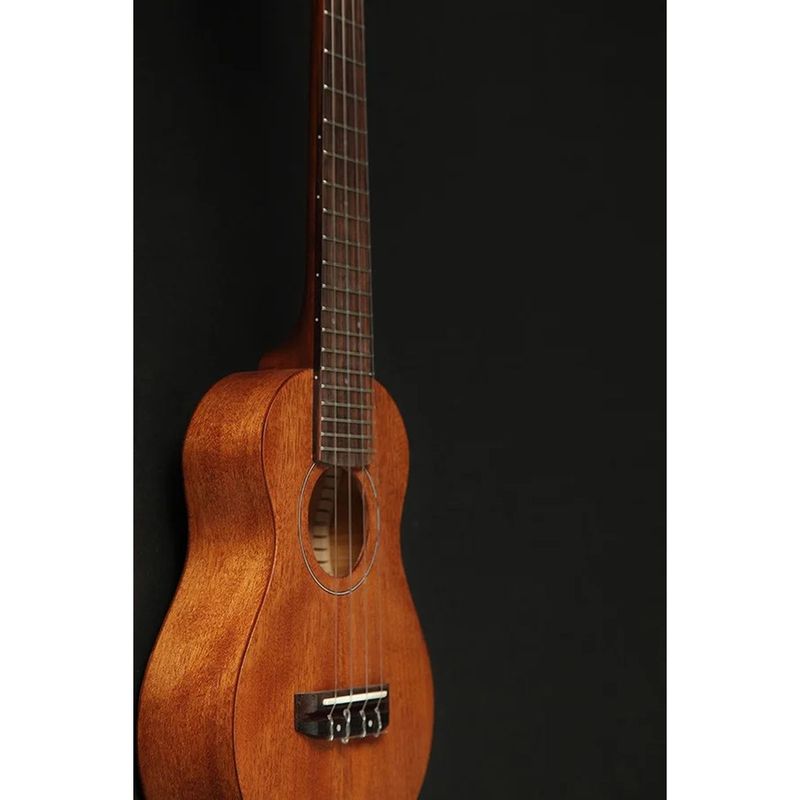 Takamine GU-S1 Sopran-ukulele, Mahogni