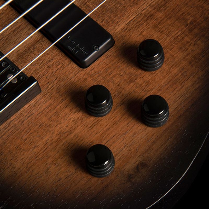 Cort B4FL MHPZ OPTA Fretless bass