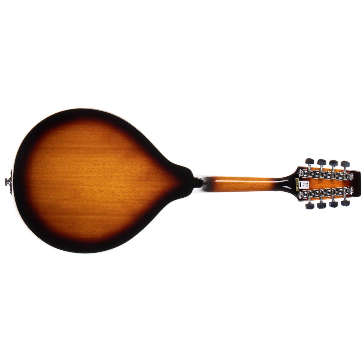 Morgan M 20 E VS Mandolin med pickup