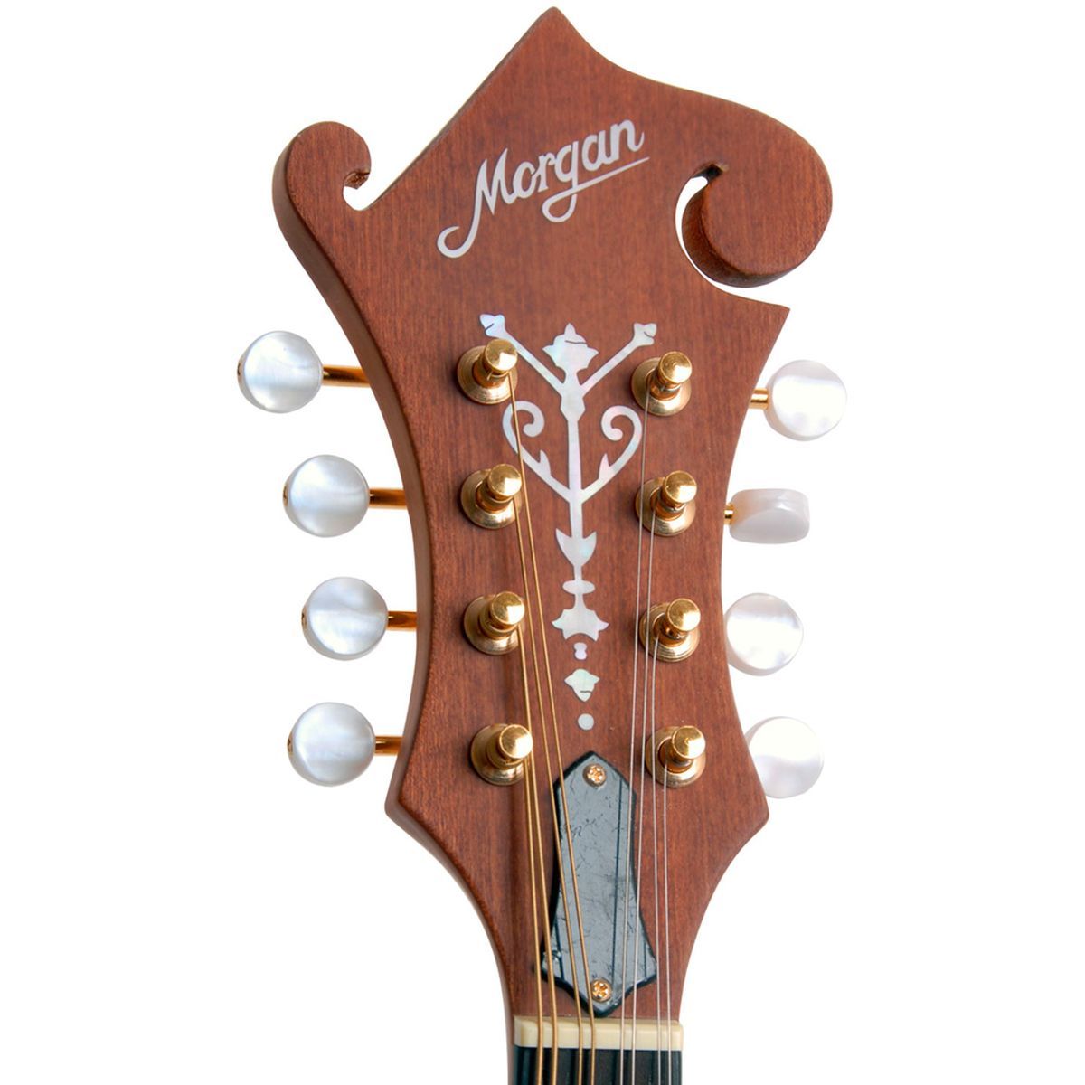 Morgan M 63 E NM Mandolin med pickup og kasse