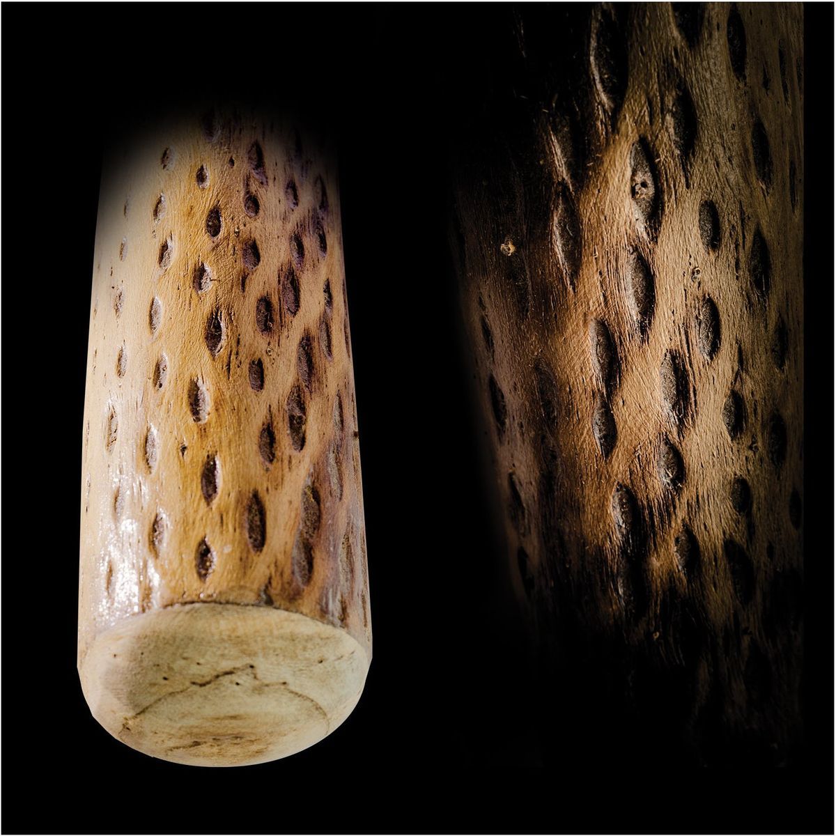 Regnstav av kaktus 100 cm, Ø 6-8 cm