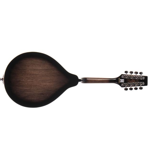 Hovedbilde Morgan M 20 E TBK Mandolin med pickup, Transparent Black