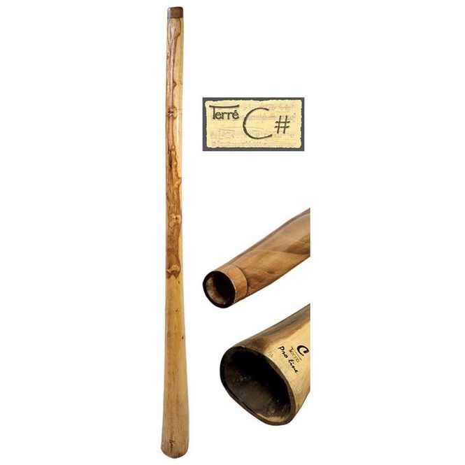 Hovedbilde Didgeridoo Proline eukalyptus C#