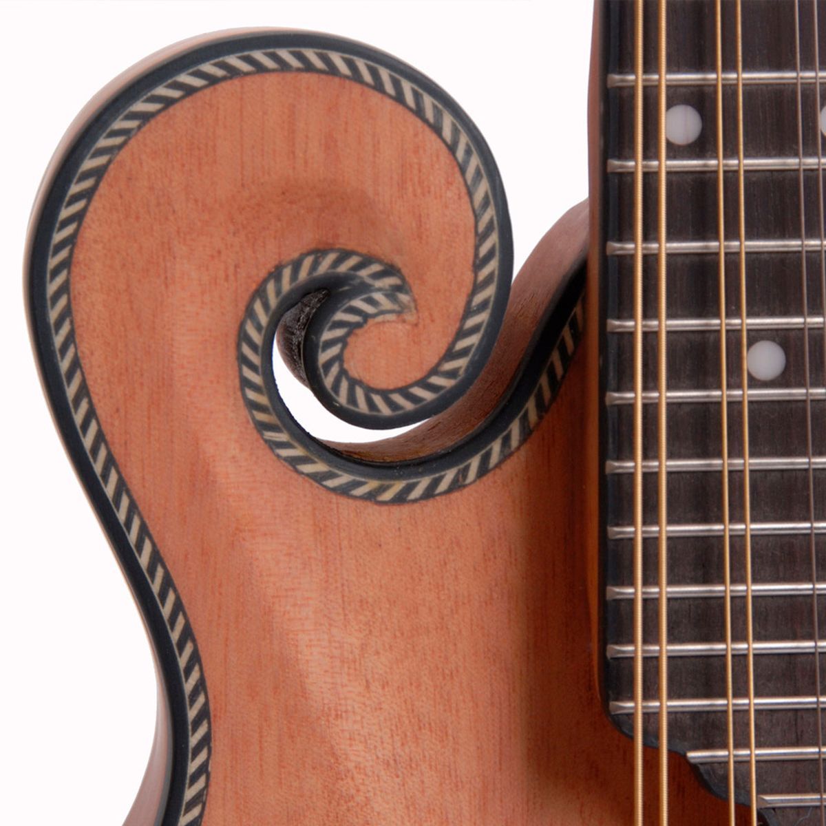 Morgan M 63 E NM Mandolin med pickup og kasse