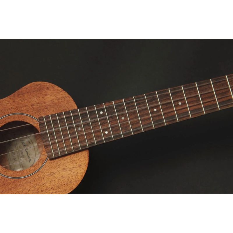 Takamine EGU-C1 Concert Ukulele med pickup