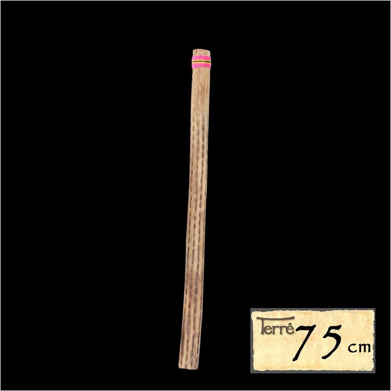 Regnstav av kaktus 75 cm, Ø 4-6 cm